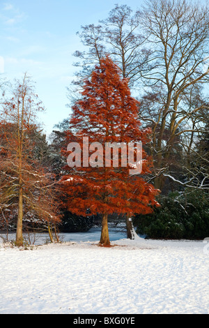 Château d'Elvaston Bâtiment classé Grade II et Country Park en hiver,Derby Derbyshire, Angleterre .FR Banque D'Images