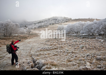 Un photographe Randonneur admirant une forêt de bouleaux givrée (France). Randonneur contemplant une forêt de bouleaux en hiver. Banque D'Images