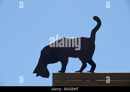 Silhouette de chat contre un ciel bleu Banque D'Images