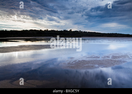 Loch McNess en Parc National de Yanchep, Perth, Australie occidentale Banque D'Images