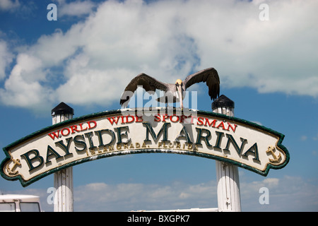 Pélican brun au Bayside Marina, Islamorada, Florida Keys, USA Banque D'Images
