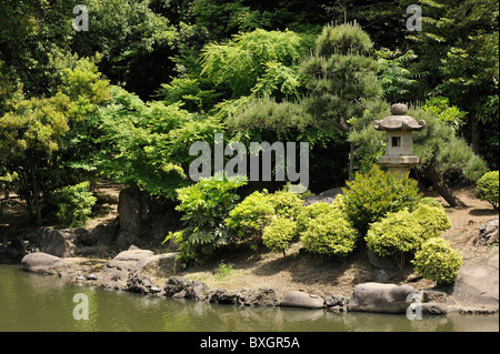 Jardin japonais traditionnel avec étang et les tortues dans le parc de Shinjuku, Tokyo, Japon Banque D'Images