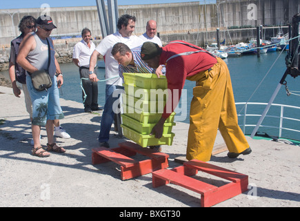 Lastres, Principauté des Asturies, Espagne. C'est un village de pêcheurs appartenant au conseil de Colunga, situé dans la zone orientale. Port de pêche Banque D'Images