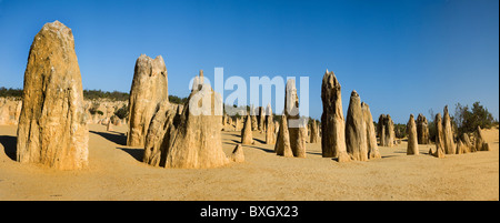 Désert des Pinnacles près de Cervantes dans l'ouest de l'Australie vue panoramique Banque D'Images