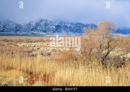 Sunny Owens Valley avec tempête de neige sur l'Est du Sierra, près de Lone Pine, Californie, USA Banque D'Images