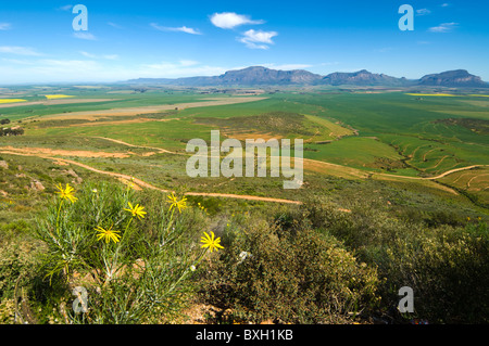 Le Namaqualand Western Cape Afrique du Sud Banque D'Images