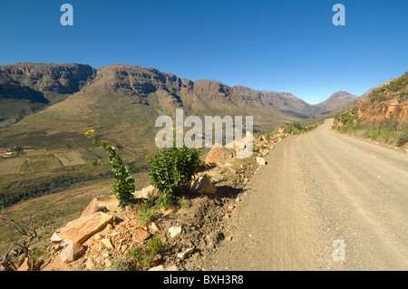 Montagnes Cederberg Namaqualand Western Cape Afrique du Sud Banque D'Images