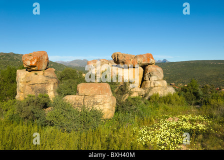 Montagnes Cederberg Namaqualand Western Cape Afrique du Sud Banque D'Images