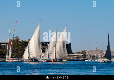 L'Égypte, Assouan. La voile sur la felouque Nil près d'Assouan. Banque D'Images