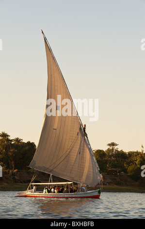 L'Égypte, Assouan. La voile sur la felouque Nil près d'Assouan. Banque D'Images