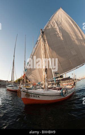 L'Égypte, Assouan. La voile sur la felouque Nil près d'Assouan. Banque D'Images