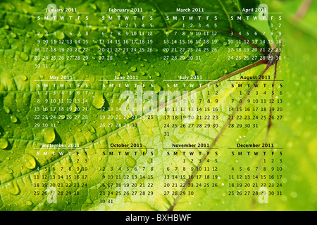 Calendrier 2011 sur feuille de vigne vert lime lumineux close up avec de l'eau tombe en arrière-plan. Banque D'Images