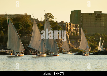 L'Égypte, Assouan. La voile sur la felouque Nil près d'Assouan. Banque D'Images