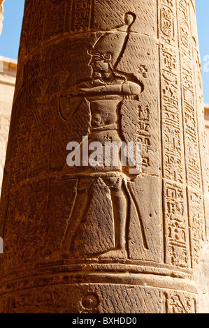 Égypte, Assouan. Hiéroglyphes égyptiens au temple de Philae Assouan. Banque D'Images