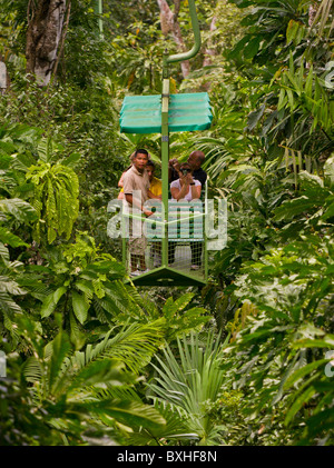 GAMBOA, PANAMA - touristes et le guide au téléferique teleferico dans jungle à Gamboa Rainforest Resort. Banque D'Images