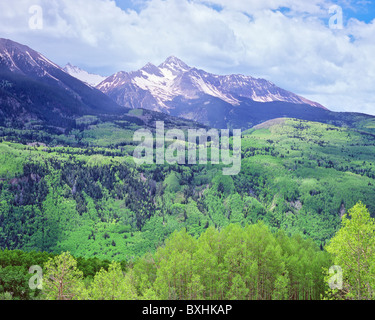 Le mont Wilson, de l'ensoleillement des forêts des États-Unis, de Camping San Juan National Forest, Colorado, USA Banque D'Images