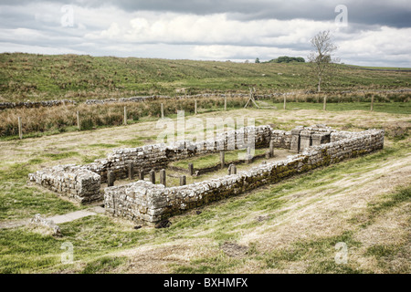 Temple de Mithra, Brocolitia, mur d'Hadrien, Northumberland, England Banque D'Images