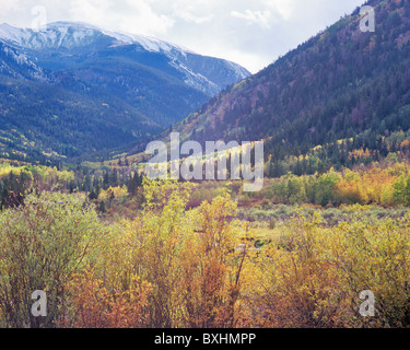 La vallée de l'automne au-dessus du lac à l'ouest de Cottonwood Buena Vista, San Isabel National Forest, Colorado, USA Banque D'Images