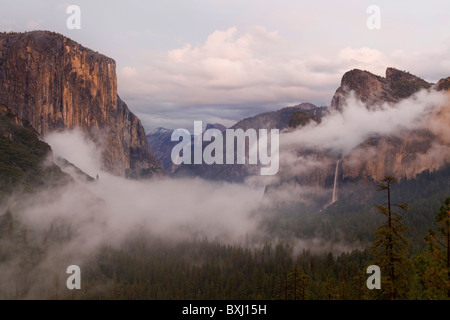 Déménagement brouillard en vallée de Yosemite, California, USA Banque D'Images
