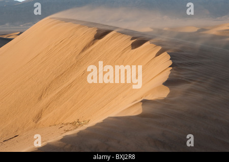 Dunes de sable (Ergs) dans Sahara causés par des processus éoliens montrant sand d'être soufflé par le vent des dunes de. Le Maroc. Banque D'Images