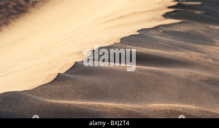 Crête de dunes de sable (Ergs) dans Sahara causés par des processus éoliens. Le Maroc. Banque D'Images
