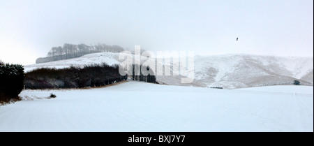 Le Vega White Horse, dans le Wiltshire, sculpté dans la craie colline à Oldbury Castle, ici la plupart obscurci par de la neige Banque D'Images