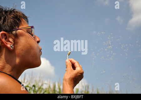 Semior woman blowing dandelion Banque D'Images