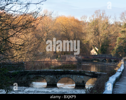 Ponts sur rivière Colne dans le village de Cotswold Bibury Gloucestershire England UK Banque D'Images