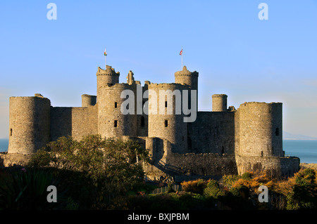 Château de Harlech Gwynedd, Merionethshire, au nord du Pays de Galles Banque D'Images