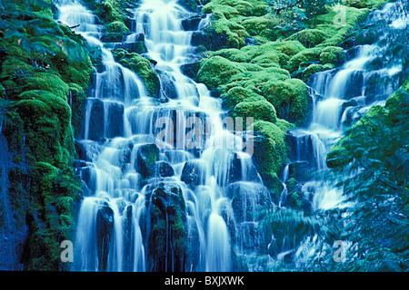 Chutes Proxy supérieur, trois Sœurs, Désert, Forêt, Willamette en Oregon. © Myrleen Pearson Banque D'Images