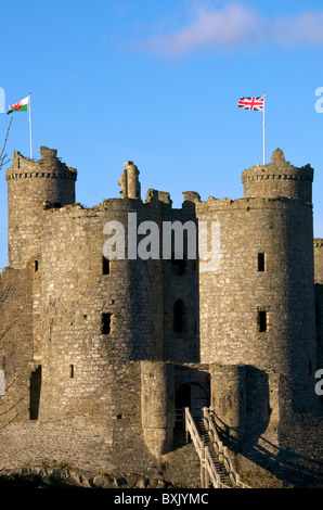 Château de Harlech Gwynedd, Merionethshire, au nord du Pays de Galles UK Banque D'Images