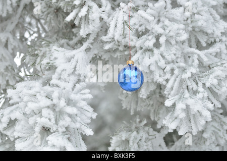 Christmas Tree ball accroché dans un sapin tout blanc, recouvert de givre et de neige. Banque D'Images