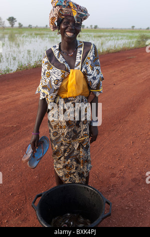 Femme montre sa prise de poissons de pièges dans les champs inondés de la "Delta Intérieur du Niger' près de Djenné, Mali. Banque D'Images