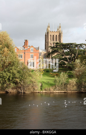 Hereford Banque D'Images