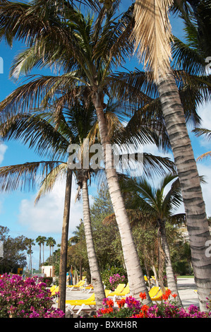 Anfi del Mar Resort près de Puerto Rico Banque D'Images