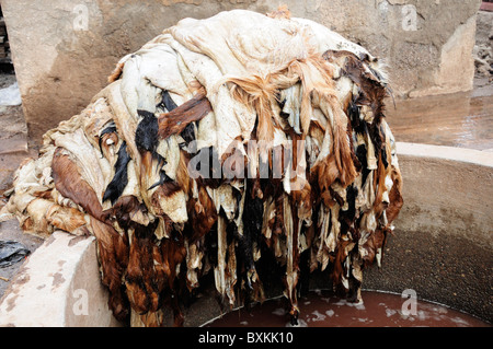 Pile de peaux à côté de mourir la TVA à la tannerie sur rue Bab Debbagh à Marrakech Banque D'Images