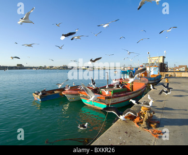 Lambert's Bay Western Cape Afrique du Sud Banque D'Images