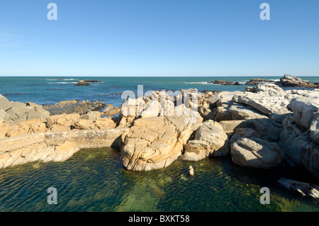 Lambert's Bay Western Cape Afrique du Sud Banque D'Images