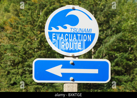 Parcours d'évacuation Tsunami road sign with arrow -- vague de port Banque D'Images