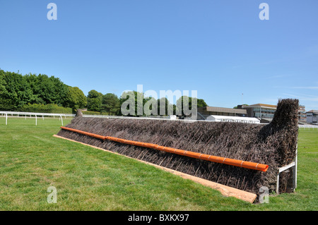 Hippodrome courses de chevaux obstacle fence Banque D'Images