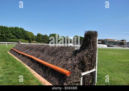 Hippodrome courses de chevaux obstacle fence Banque D'Images