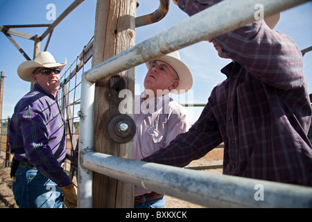 Les éleveurs de bovins sur la porte de réparation chute, le ranch de bétail Banque D'Images