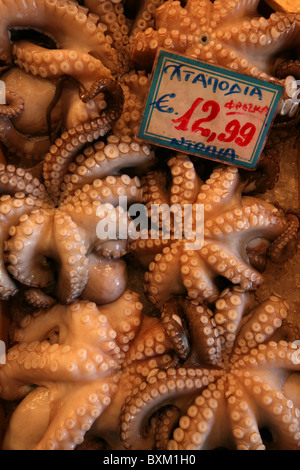 Pieuvre commune (Octopus vulgaris), également connu sous le nom de pieuvre en vente sur le marché central des fruits de mer à Athènes, Grèce. Banque D'Images