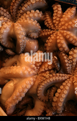 Pieuvre commune (Octopus vulgaris), également connu sous le nom de pieuvre en vente sur le marché central des fruits de mer à Athènes, Grèce. Banque D'Images