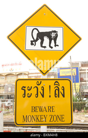 Attention : Zone d'avertissement signe singe les conducteurs sur un fonctionnement libre de manger du crabe des macaques à Lopburi Banque D'Images