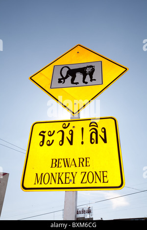 Attention : Zone d'avertissement signe singe les conducteurs sur un fonctionnement libre de manger du crabe des macaques à Lopburi Banque D'Images