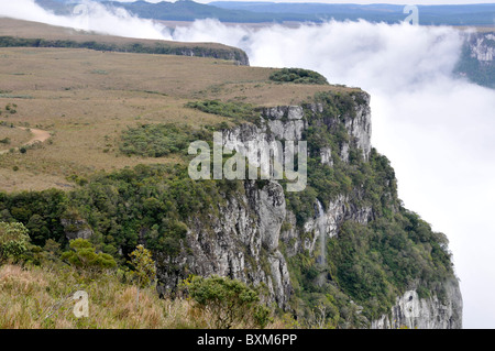 Balai en nuages Fortaleza canyon tôt le matin, Cambara do Sul, Rio Grande do Sul, Brésil Banque D'Images