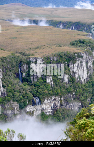 Balai en nuages Fortaleza canyon tôt le matin, Cambara do Sul, Rio Grande do Sul, Brésil Banque D'Images