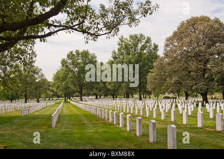 Le Cimetière National d'Arlington, à Washington DC. Banque D'Images