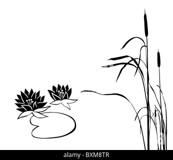 Vector silhouette de la plantes des marais sur fond blanc Banque D'Images